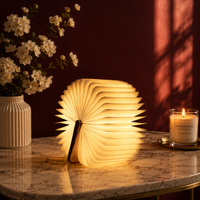 LED Book-Shaped Night Lamp