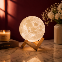 3D Moon Night Lamp with Wooden Stand