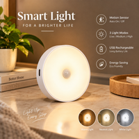 Rechargeable Motion Sensor LED Night Light